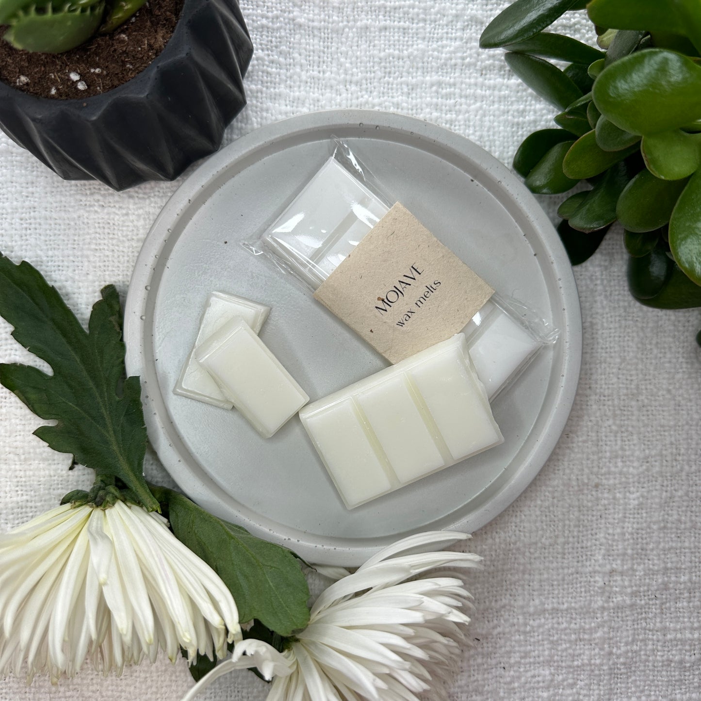 Mojave Wax Melt Bar | Aloe, Chrysanthemum Petals, Agave